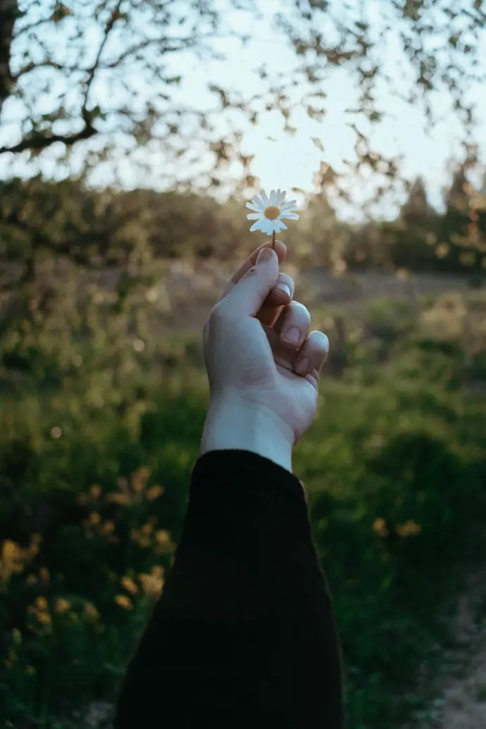 inner child healing